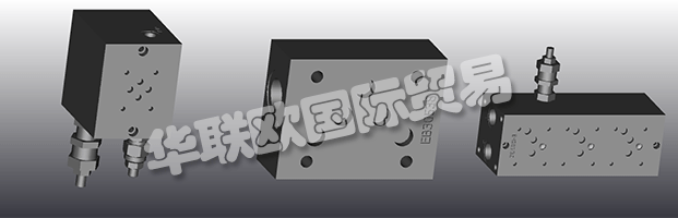 EUROFLUID Hydraulic是一家大型公司，專門生產(chǎn)液壓設(shè)備的歧管。