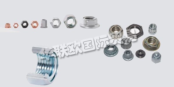 德國(guó)FLAIG+HOMMEL主要產(chǎn)品：FLAIG+HOMMEL螺絲、螺母等。FLAIG+HOMMEL GmbH是一家在冷成型領(lǐng)域的創(chuàng)新型傳統(tǒng)公司，專注于連接技術(shù)。除了復(fù)雜的冷擠壓零件外，Aldingen總部還生產(chǎn)螺母，螺旋塞和機(jī)加工零件。獲得專利的FS全鋼防松螺母專為極端溫度，振動(dòng)和環(huán)境條件而設(shè)計(jì)。