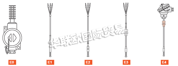 ELSI探頭、ELSI溫度計、熱電阻、熱電偶、熱電偶探頭、電阻溫度計探頭、溫度變送器、便攜式溫度計、滑動法蘭、電子溫度計連接頭、滑動螺紋配件。
