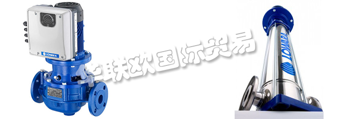 意大利LOWARA是一家專門生產(chǎn)不銹鋼泵的公司，他們提供的產(chǎn)品有：意大利LOWARA泵,、LOWARA水泵、循環(huán)器、端吸泵、多級泵、直列式泵、濕轉(zhuǎn)子循環(huán)器、變速泵、冷凝泵、自吸泵、潛水鉆孔泵、潛水污水和污水泵、潛水式脫水泵、外圍泵、泵控制器、驅(qū)動器、變頻器、控制器、壓力開關(guān)控制器。