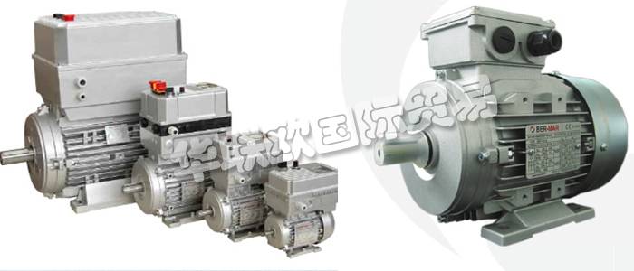 意大利BERMAR公司的主要產(chǎn)品包括：意大利BERMAR電機(jī)、BERMAR電動機(jī)、異步電機(jī)、異步電動機(jī)、永磁發(fā)動機(jī)、逆變器、伺服通風(fēng)電動機(jī)、伺服電動機(jī)、工業(yè)洗衣機(jī)電動機(jī)、單相電動機(jī)、DRIVEJET鼓風(fēng)機(jī)、高效電機(jī)、泵、風(fēng)扇、工業(yè)壓縮機(jī)。
